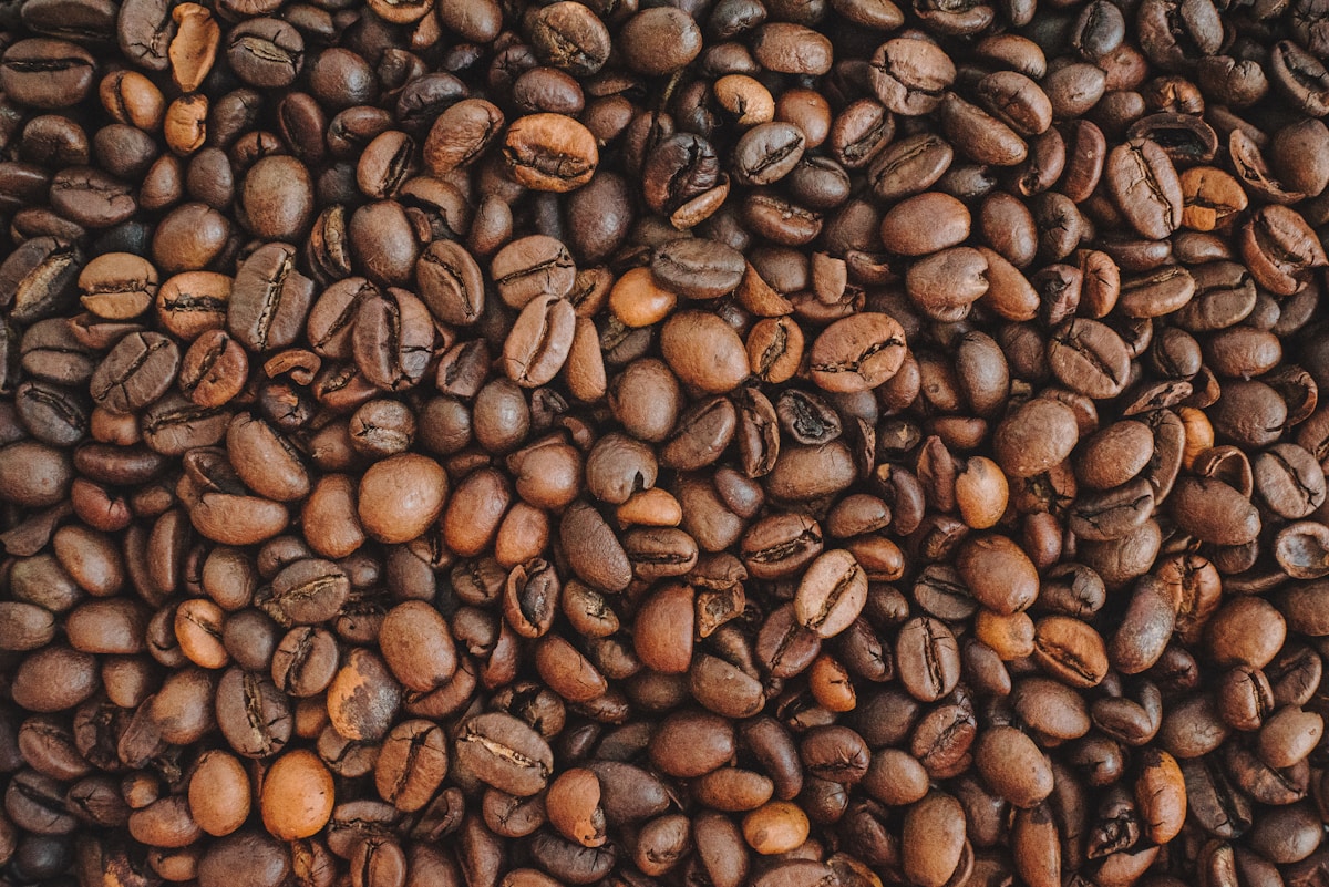 Guatemalan coffee beans in burlap sack