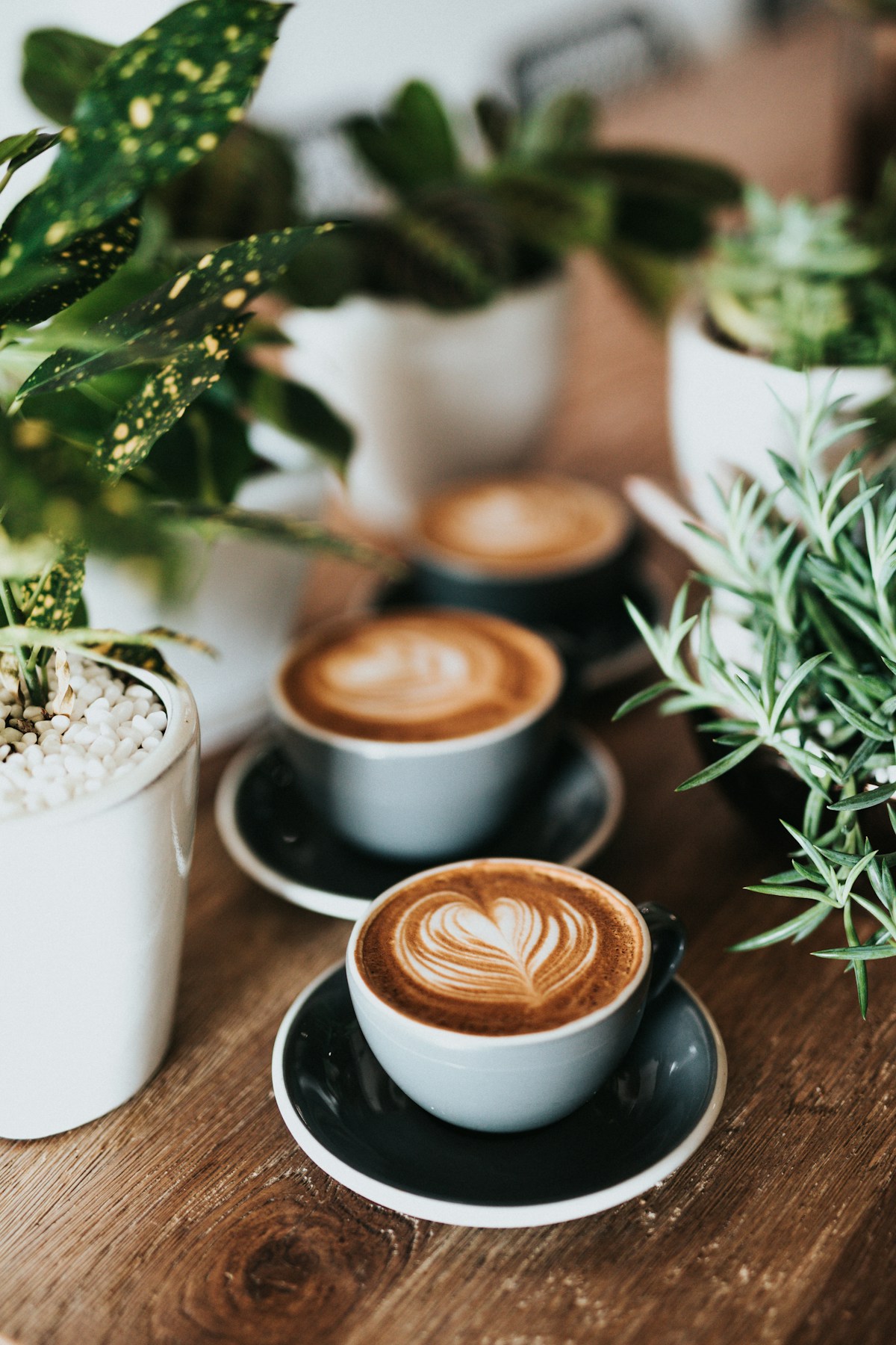 Copper Lane house blend coffee in cup