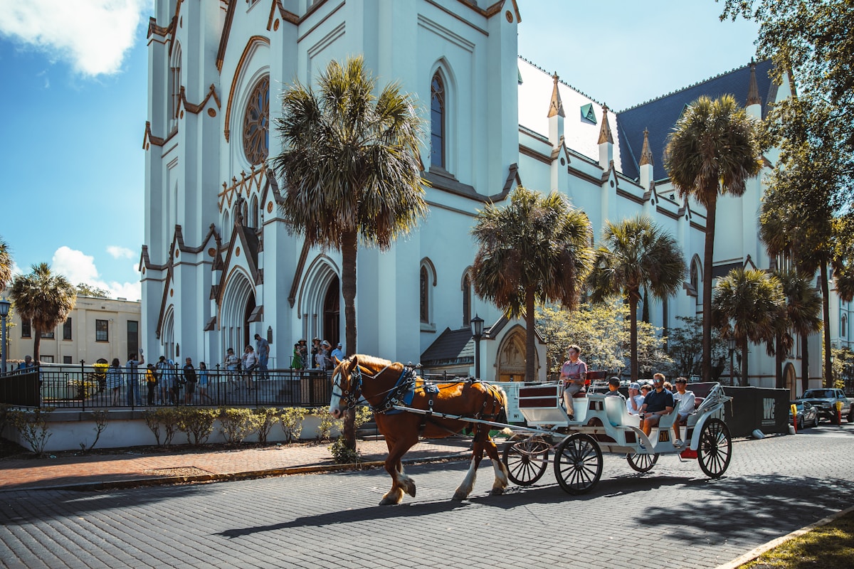 Horse carriage on historic Savannah street